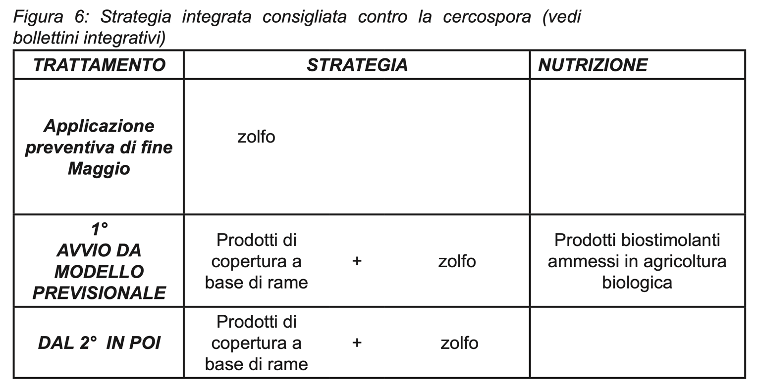 Cercospora